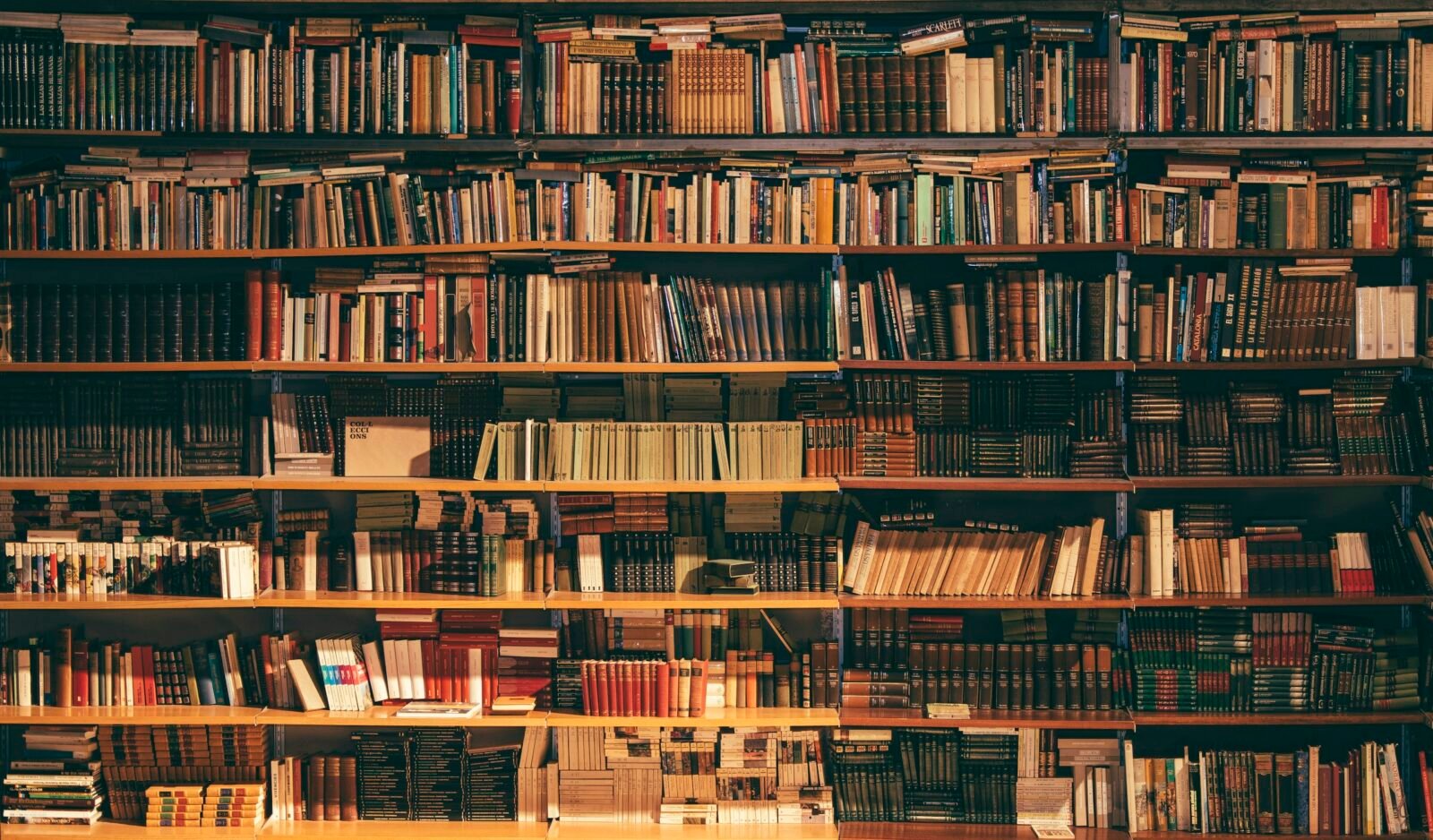 Pasillo de una biblioteca con estanterías de madera