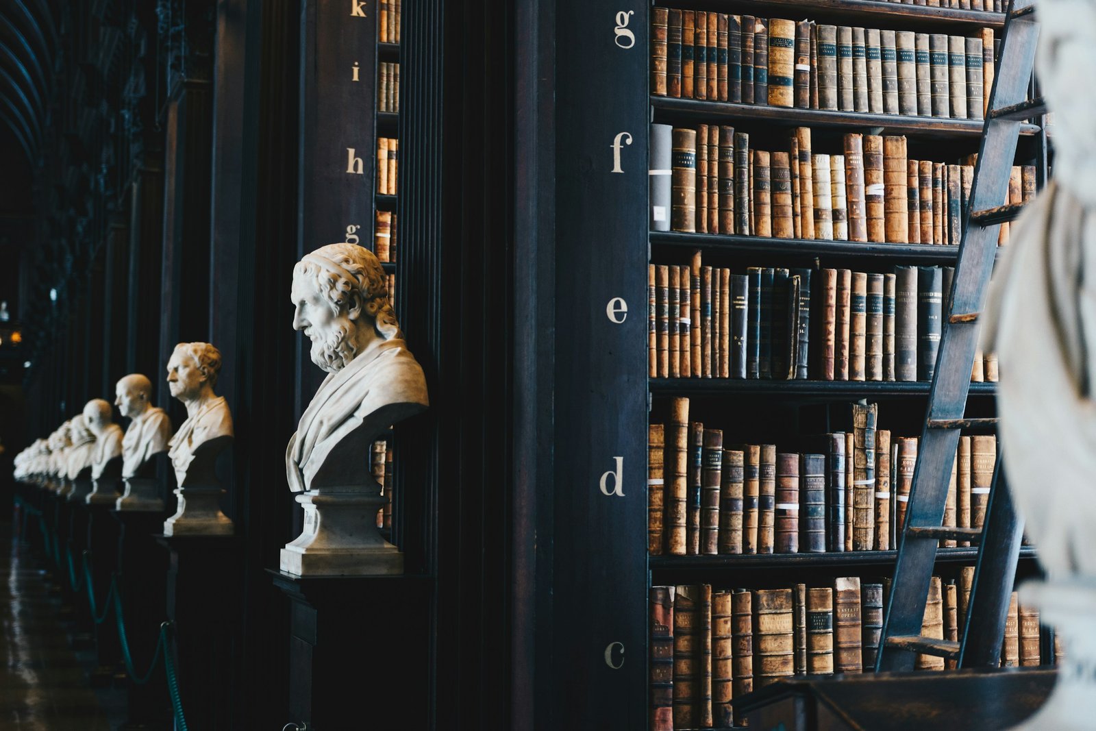 Biblioteca jurídica con estanterías de libros y bustos
