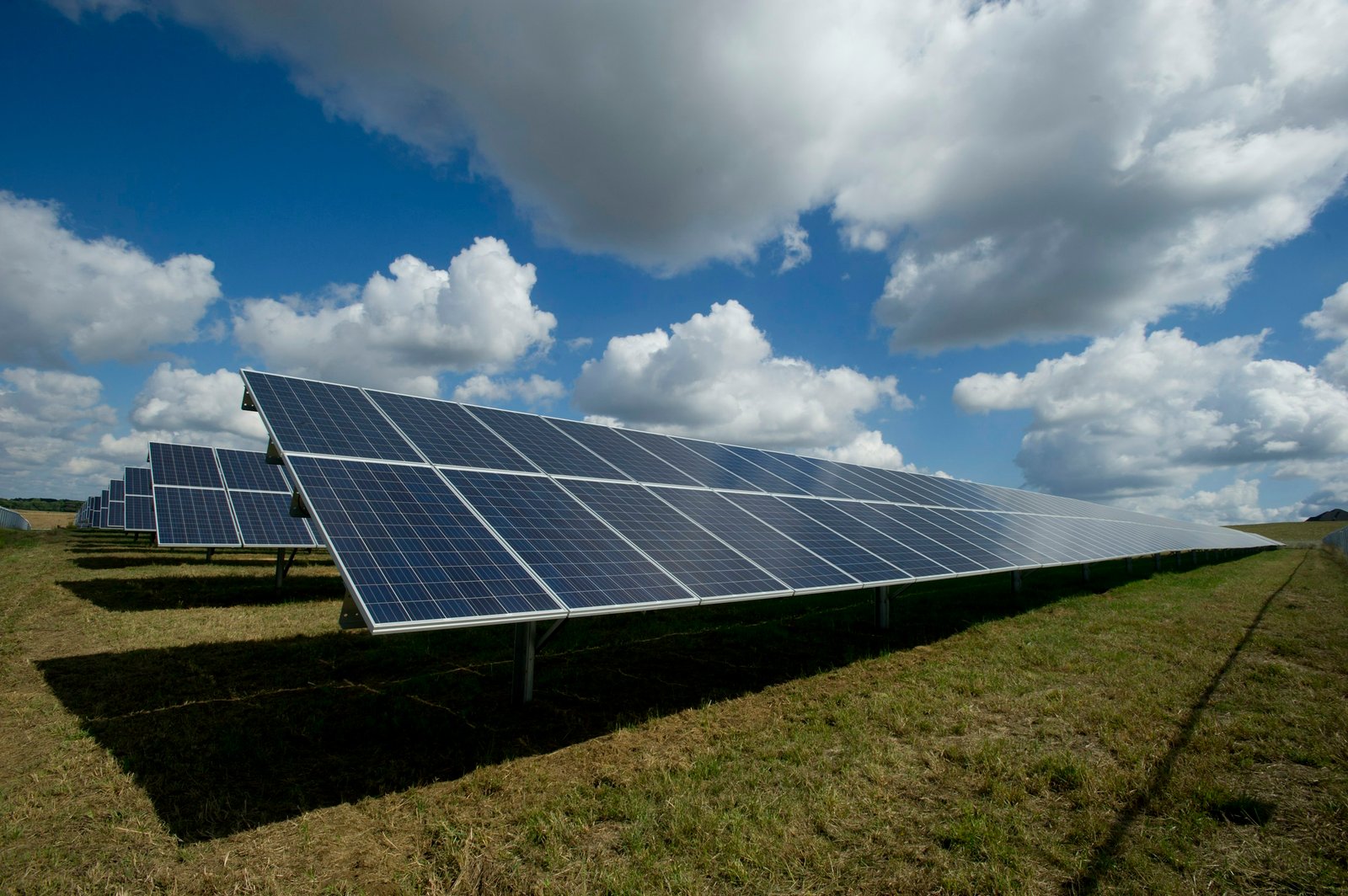 Campo de paneles solares bajo un cielo despejado