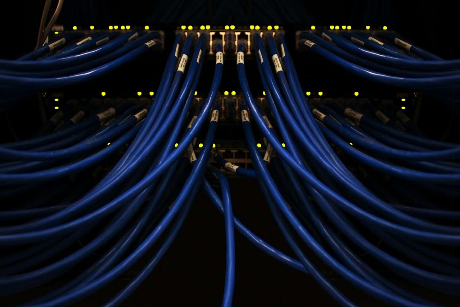 Cables de red azules conectados a un servidor en la oscuridad
