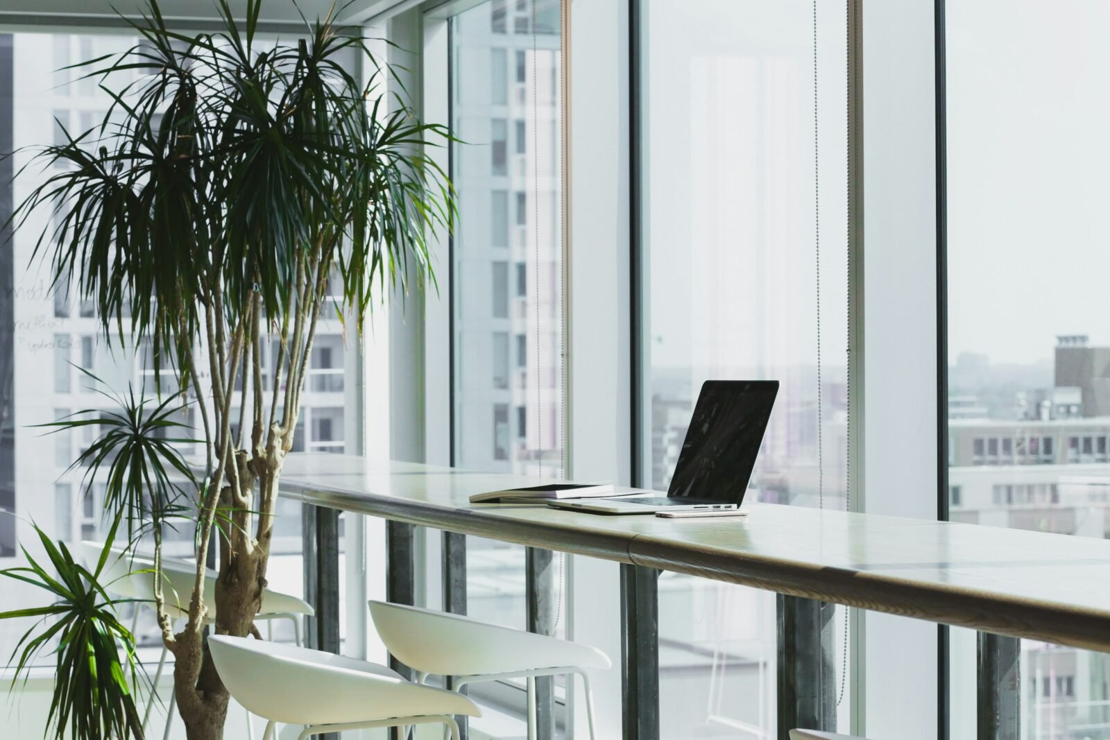 Mesa de trabajo con plantas junto a una ventana