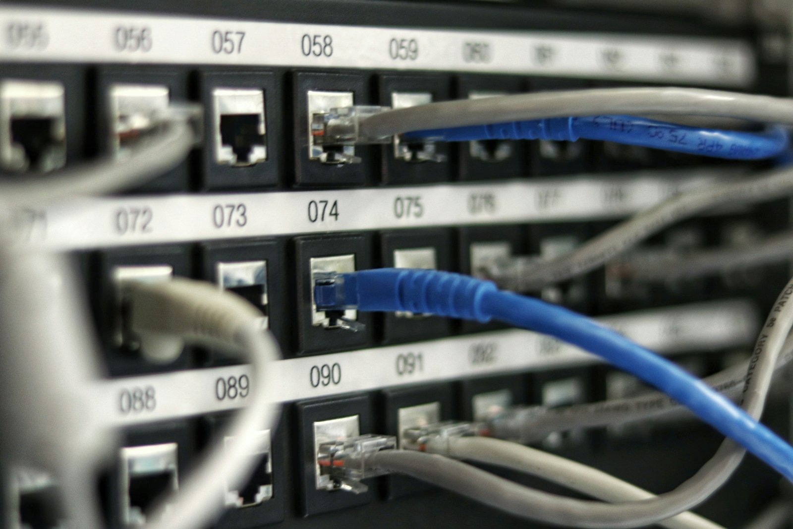 Cables de red conectados a un conmutador